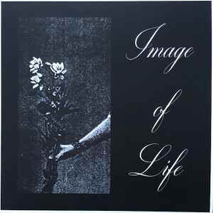 Attended By Silence - Image Of Life