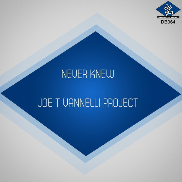 descargar álbum Joe T Vannelli Project - Never Knew