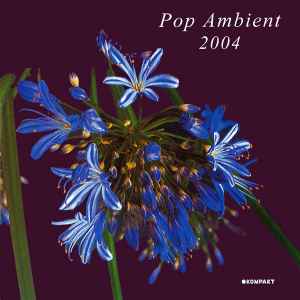Pop Ambient 2004 - Various