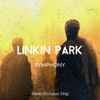 Lucas King (4) - Linkin Park Symphony