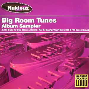 TM (2) - Big Room Tunes Album Sampler album cover