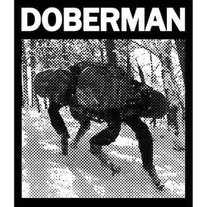Doberman (7)