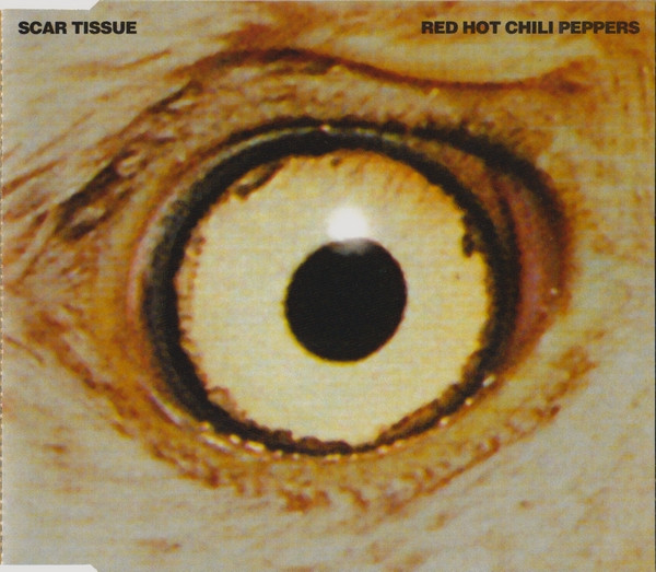 Red Hot Chili Peppers – Scar Tissue (1999, CD) - Discogs