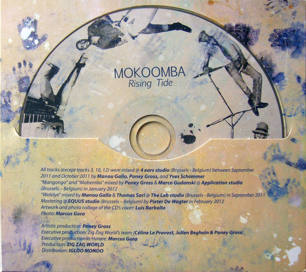 last ned album Mokoomba - Rising Tide