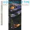 Depeche Mode - A Question Of Time / A Question Of Lust