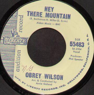 Obrey Wilson Hey There Mountain Say It Again Releases Discogs