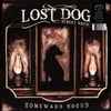 Lost Dog Street Band - Homeward Bound