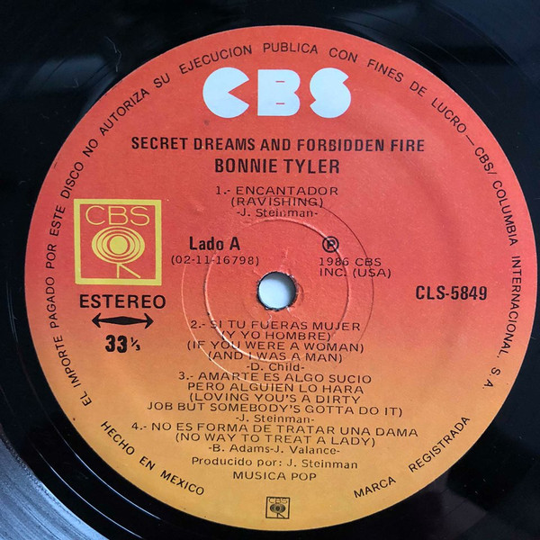 Bonnie Tyler - Secret Dreams And Forbidden Fire | CBS (CLS-5849) - 5