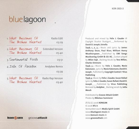 baixar álbum bluelagoon - What Becomes Of The Broken Hearted