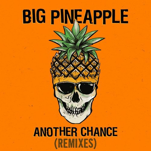 lataa albumi Big Pineapple - Another Chance Keanu Silva Remix