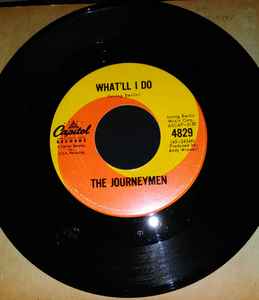 The Journeymen - What'll I Do album cover