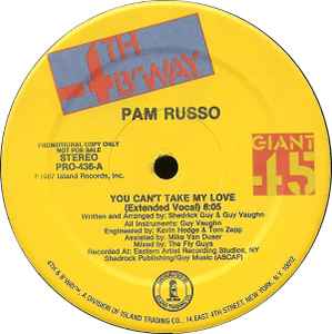 Pam Russo - You Can't Take My Love album cover