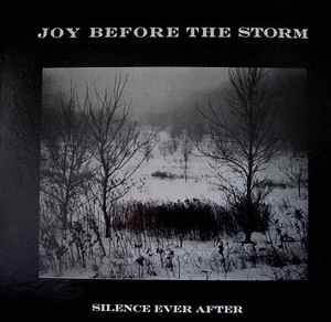 Joy Before The Storm - Silence Ever After album cover