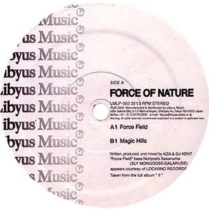 Force Of Nature – Force Field / Magic Hills (2004, Vinyl) - Discogs