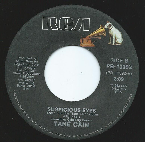 lataa albumi Tané Cain - My Time to Fly Suspicious Eyes