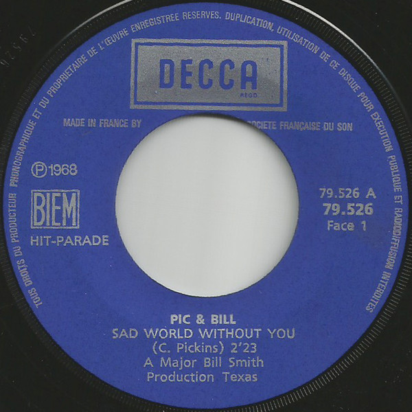 descargar álbum Pic & Bill - Sad World Without You