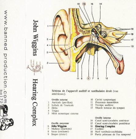 baixar álbum John Wiggins - Hearing Complex
