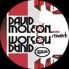 David Moleon - Diana (Rework)