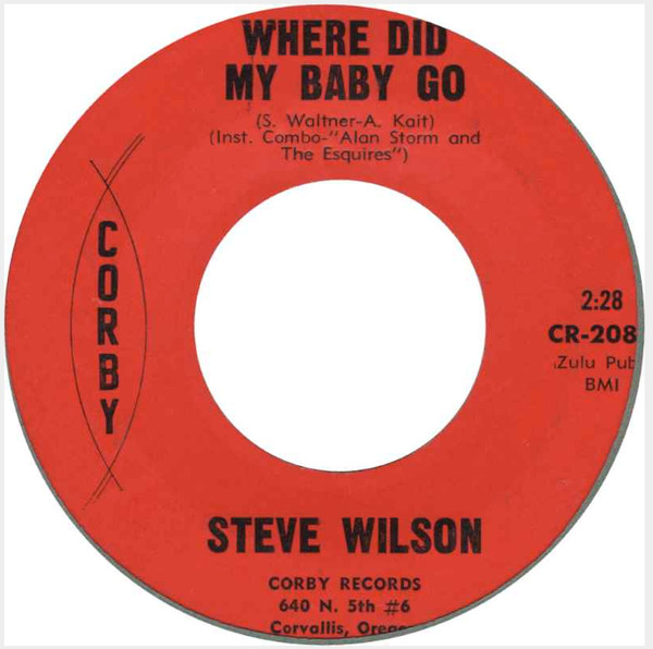 baixar álbum Steve Wilson , Alan Storm And The Esquires - Where Did My Baby Go