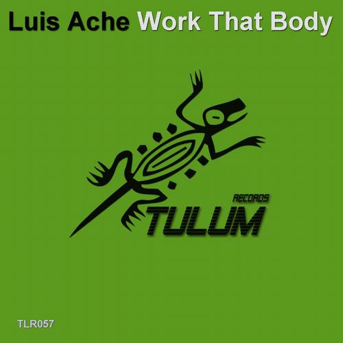 ladda ner album DJ Luis Ache - Work That Body