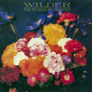 Wilder - The Teardrop Explodes