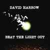 David Harrow - Beat The Light Out