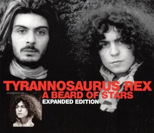 Tyrannosaurus Rex – A Beard Of Stars (Expanded Edition) (2004, CD 