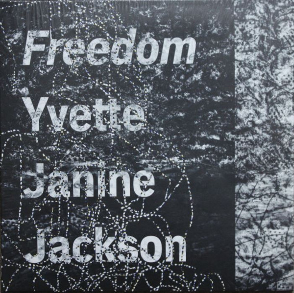 Yvette Janine Jackson: Freedom review – vivid voyage through hate