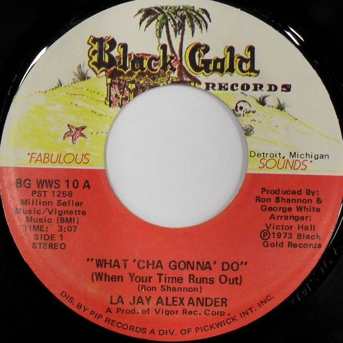 last ned album La Jay Alexander - What Cha Gonna Do When Your Time Runs Out Say So