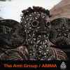 The Anti Group - AMMA