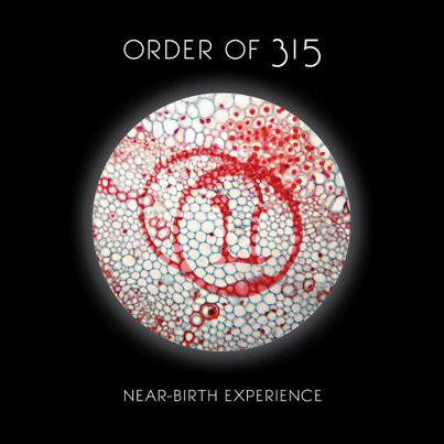 Album herunterladen Order Of 315 - Near Birth Experience