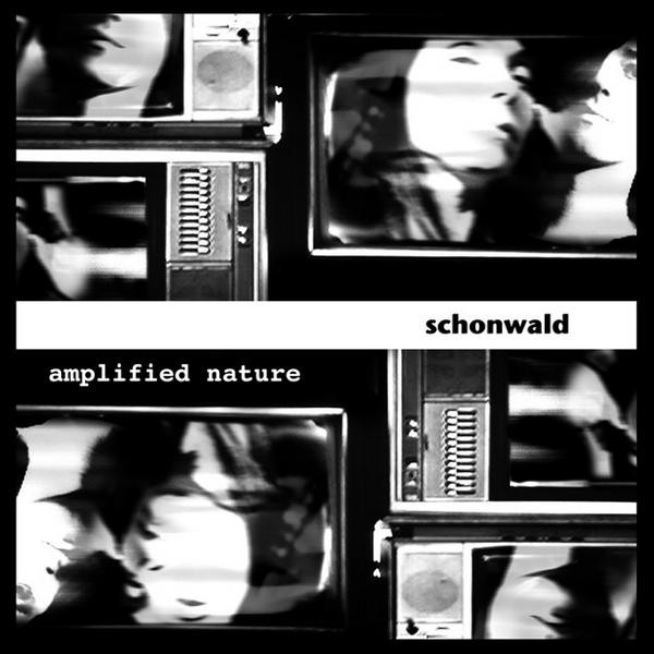 baixar álbum Schonwald - Amplified Nature