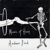 télécharger l'album Andrew Bird - Music Of Hair