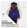 knxwledge feat. NxWorries - So Nice