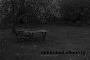 Reversed Obesity - The Picture Is Empty album cover