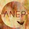 psynapse - ANEP