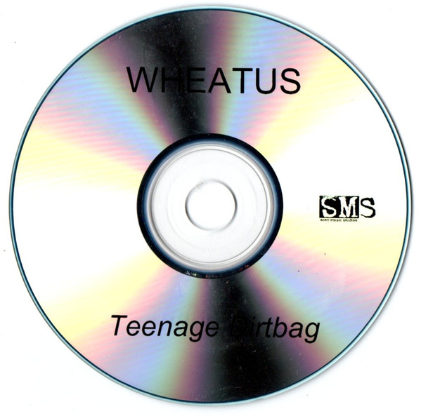 Wheatus - Teenage Dirtbag | Releases | Discogs
