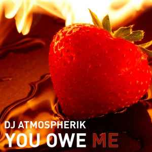 DJ Atmospherik - You Owe Me album cover