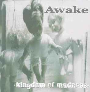 Awake (7) - Kingdom Of Madness album cover