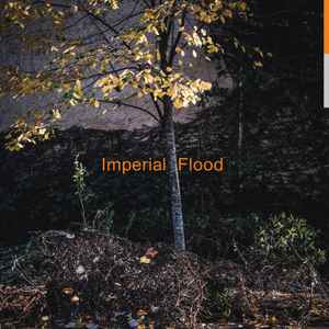 Logos (2) - Imperial Flood album cover