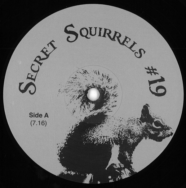 baixar álbum Secret Squirrel - Secret Squirrels 19