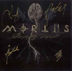Mortiis - Perfectly Defect album cover