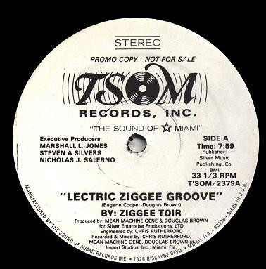 ladda ner album Ziggee Toir - Lectric Ziggee Groove