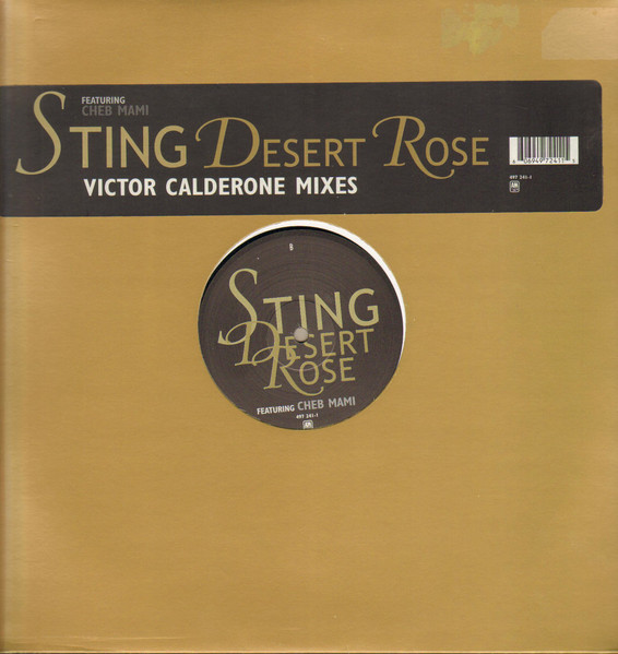 Sting – Desert Rose (Victor Calderone Mixes) (1999, Vinyl) - Discogs