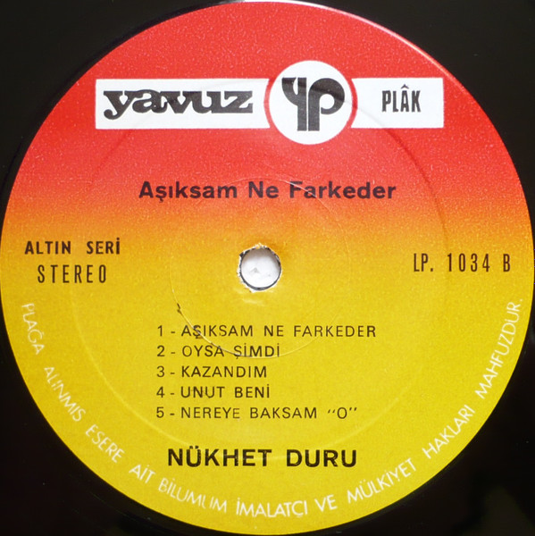 baixar álbum Nükhet Duru - Aşıksam ne Farkeder