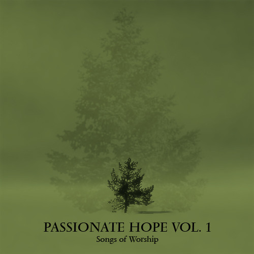 descargar álbum Various - Passionate Hope Vol 1 Songs Of Worship