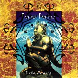 Turtle Crossing - Terra Ferma