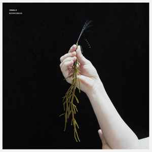 Umwelt - Ecopoiesis album cover