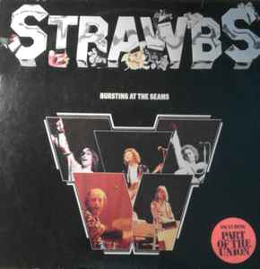 Fruit Slice Straw Charm – Midlands Vinyl