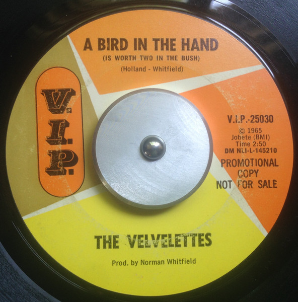 Televandalist — A bird in the hand…